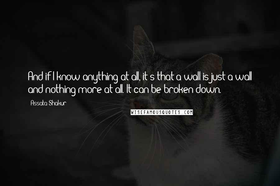 Assata Shakur quotes: And if I know anything at all, it's that a wall is just a wall and nothing more at all. It can be broken down.