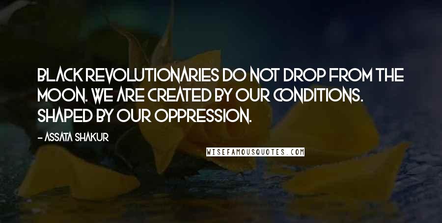 Assata Shakur quotes: Black revolutionaries do not drop from the moon. We are created by our conditions. Shaped by our oppression. Assata Shakur quotes: Black revolutionaries do not drop from the moon. We are created by our conditions. Shaped by our oppression.