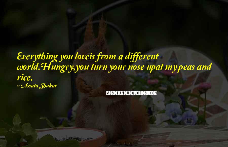 Assata Shakur quotes: Everything you loveis from a different world.Hungry,you turn your nose upat my peas and rice.