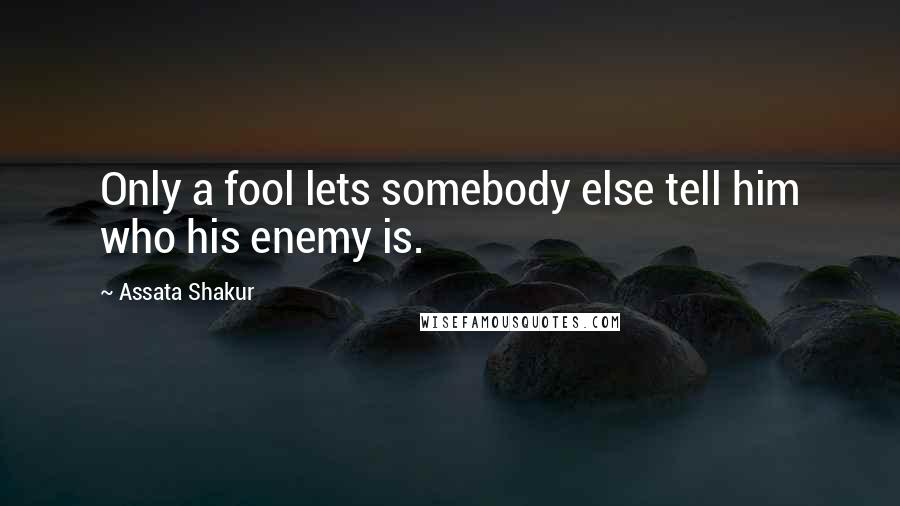 Assata Shakur quotes: Only a fool lets somebody else tell him who his enemy is.