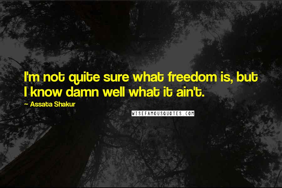 Assata Shakur quotes: I'm not quite sure what freedom is, but I know damn well what it ain't.
