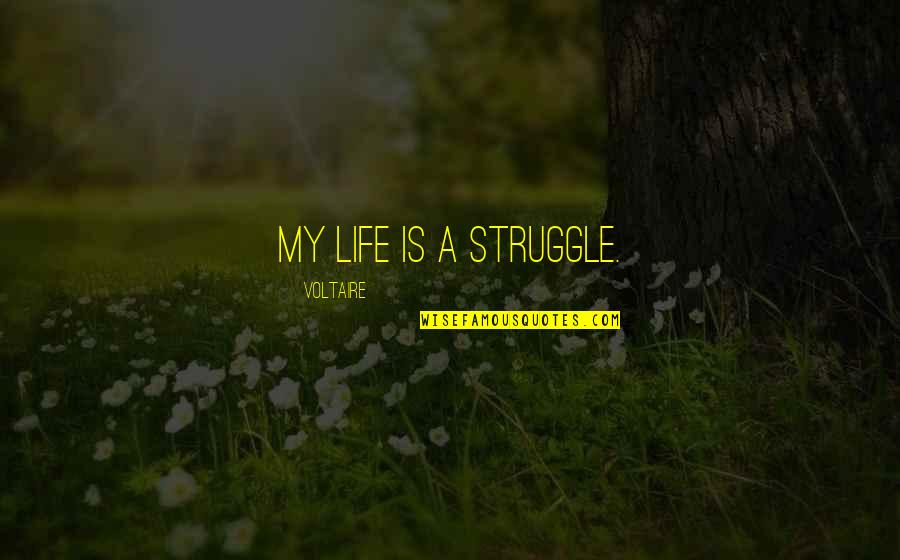 Assaults Quotes By Voltaire: My life is a struggle.