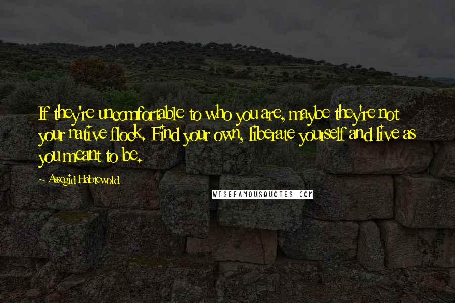 Assegid Habtewold quotes: If they're uncomfortable to who you are, maybe they're not your native flock. Find your own, liberate yourself and live as you meant to be.