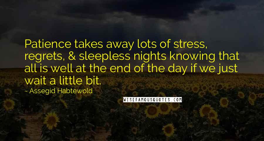 Assegid Habtewold quotes: Patience takes away lots of stress, regrets, & sleepless nights knowing that all is well at the end of the day if we just wait a little bit.