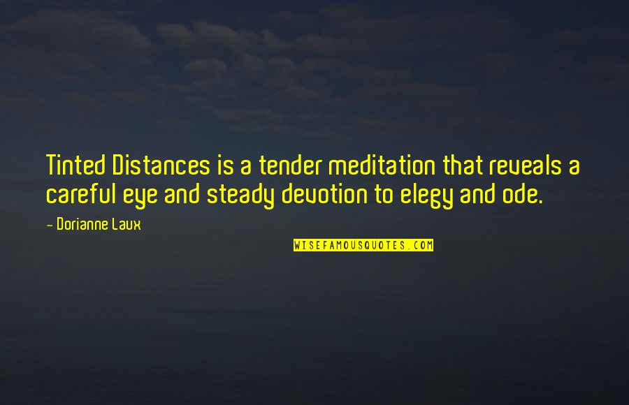 Assemanu Quotes By Dorianne Laux: Tinted Distances is a tender meditation that reveals