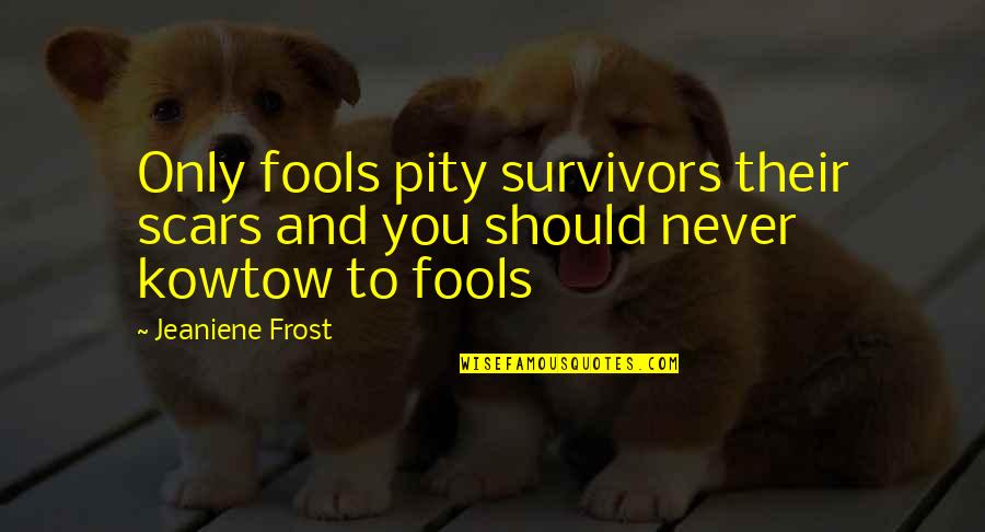 Assemblyman Quotes By Jeaniene Frost: Only fools pity survivors their scars and you