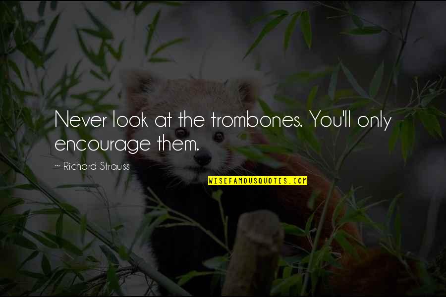 Assemblyman Quotes By Richard Strauss: Never look at the trombones. You'll only encourage Assemblyman Quotes By Richard Strauss: Never look at the trombones. You'll only encourage