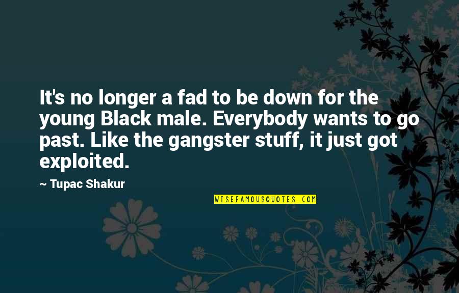 Asservations Quotes By Tupac Shakur: It's no longer a fad to be down
