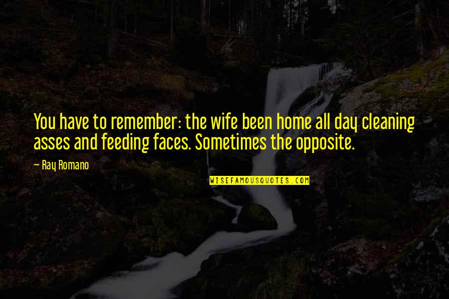 Asses Quotes By Ray Romano: You have to remember: the wife been home