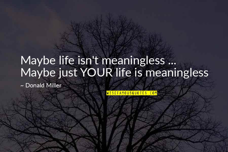 Assessment In Education Quotes By Donald Miller: Maybe life isn't meaningless ... Maybe just YOUR