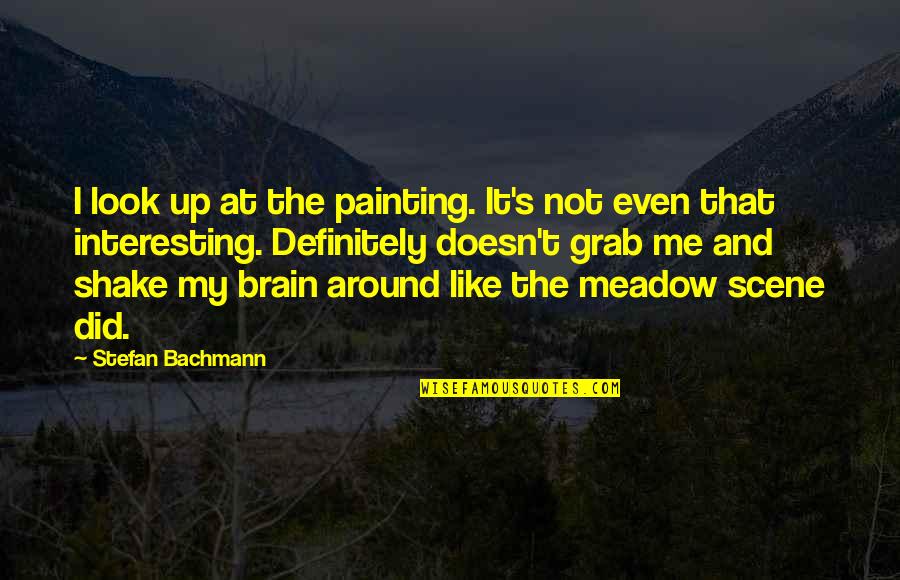 Assessment Tools Quotes By Stefan Bachmann: I look up at the painting. It's not