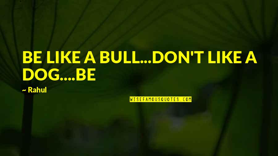 Asshat's Quotes By Rahul: BE LIKE A BULL...DON'T LIKE A DOG....BE