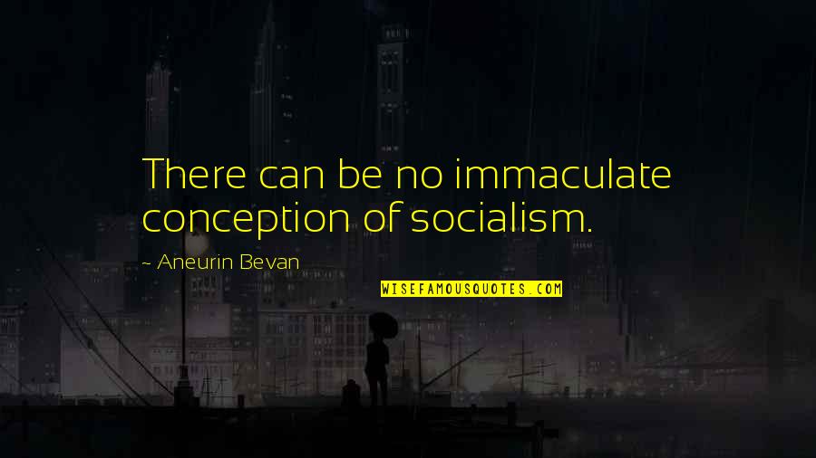 Assignments Tumblr Quotes By Aneurin Bevan: There can be no immaculate conception of socialism.