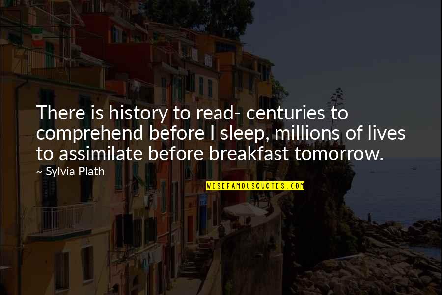 Assimilate Best Quotes By Sylvia Plath: There is history to read- centuries to comprehend