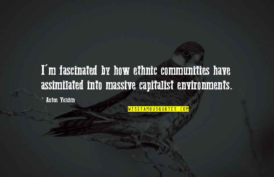 Assimilated Quotes By Anton Yelchin: I'm fascinated by how ethnic communities have assimilated Assimilated Quotes By Anton Yelchin: I'm fascinated by how ethnic communities have assimilated