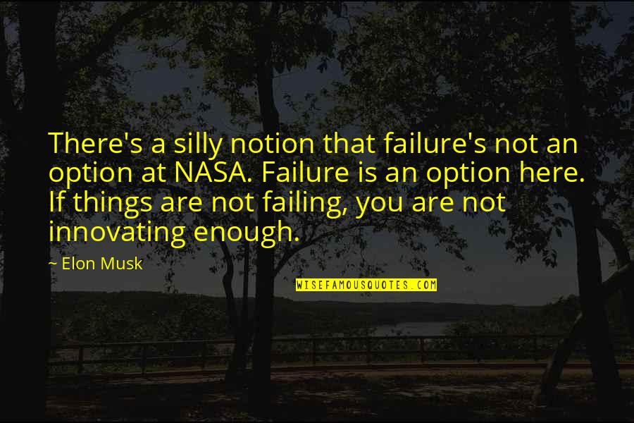 Assisis Range Quotes By Elon Musk: There's a silly notion that failure's not an