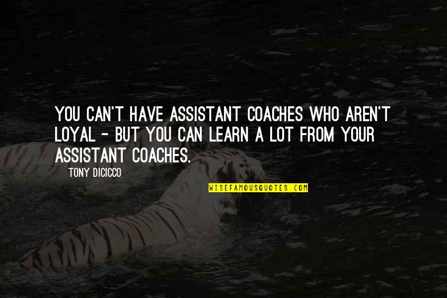 Assistant Coaches Quotes By Tony DiCicco: You can't have assistant coaches who aren't loyal