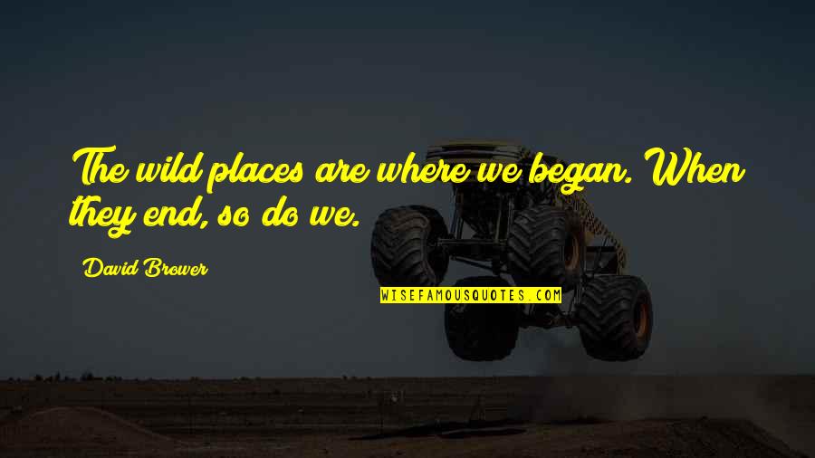Assister A Quotes By David Brower: The wild places are where we began. When