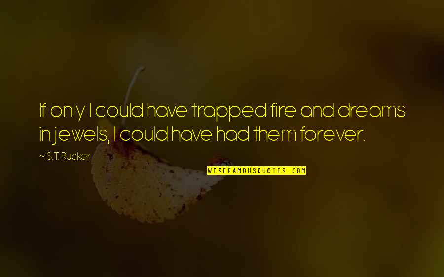 Associating Quotes By S.T. Rucker: If only I could have trapped fire and Associating Quotes By S.T. Rucker: If only I could have trapped fire and