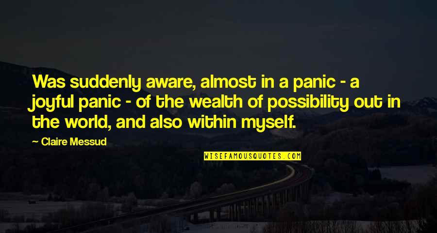Assombrada Quotes By Claire Messud: Was suddenly aware, almost in a panic - Assombrada Quotes By Claire Messud: Was suddenly aware, almost in a panic -