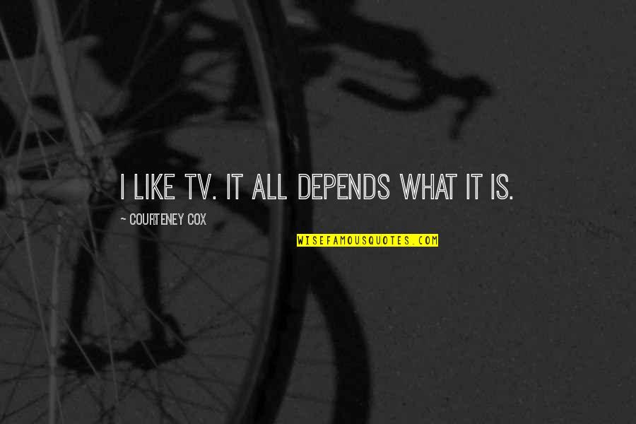 Assortments Quotes By Courteney Cox: I like TV. It all depends what it