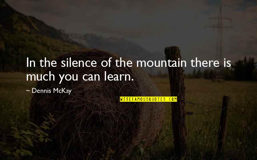 Assuaged Quotes By Dennis McKay: In the silence of the mountain there is