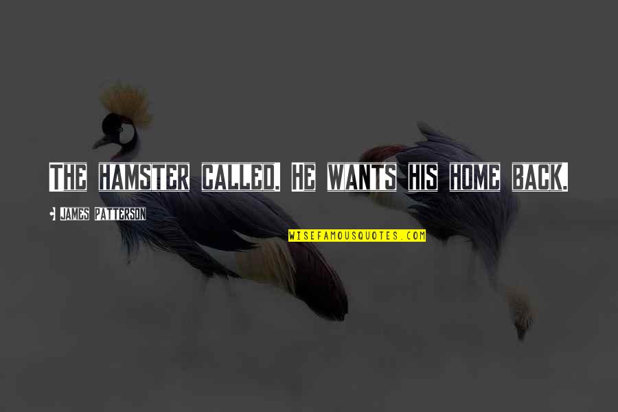 Assuaging Quotes By James Patterson: The hamster called. He wants his home back.