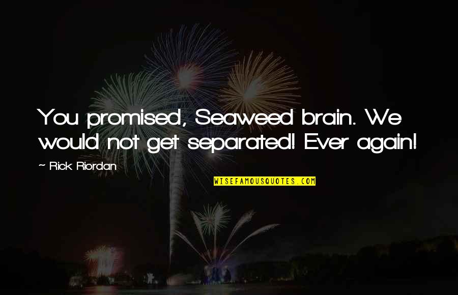 Assun O Cristas Quotes By Rick Riordan: You promised, Seaweed brain. We would not get