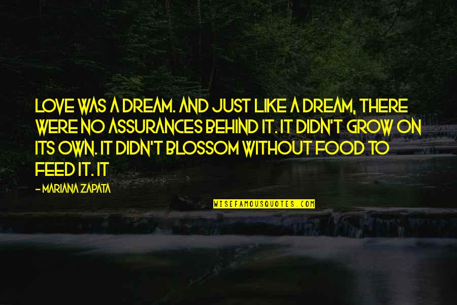 Assurances Quotes By Mariana Zapata: love was a dream. And just like a