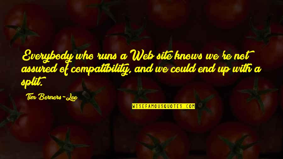 Assured Quotes By Tim Berners-Lee: Everybody who runs a Web site knows we're