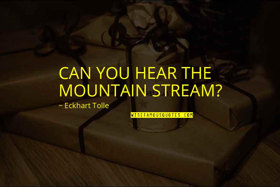 Assustado Significado Quotes By Eckhart Tolle: CAN YOU HEAR THE MOUNTAIN STREAM?