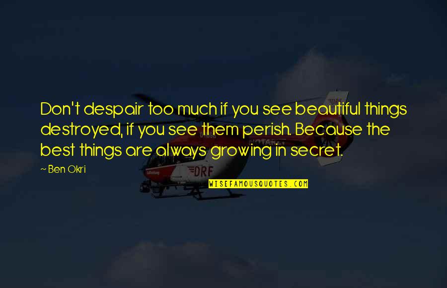 Asteptarea Quotes By Ben Okri: Don't despair too much if you see beautiful