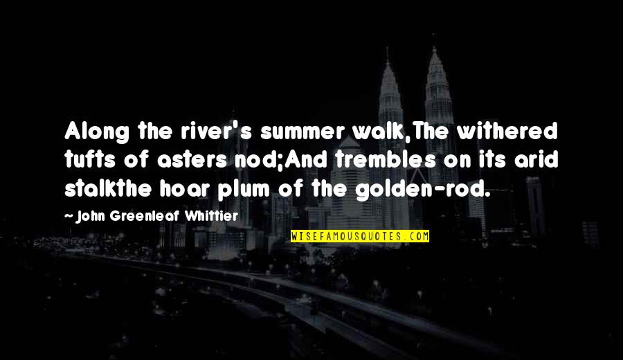Asters Quotes By John Greenleaf Whittier: Along the river's summer walk,The withered tufts of