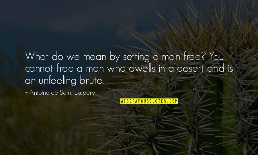 Astonishigly Quotes By Antoine De Saint-Exupery: What do we mean by setting a man