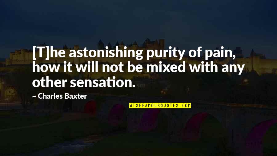 Astonishing Quotes By Charles Baxter: [T]he astonishing purity of pain, how it will