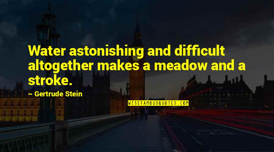 Astonishing Quotes By Gertrude Stein: Water astonishing and difficult altogether makes a meadow