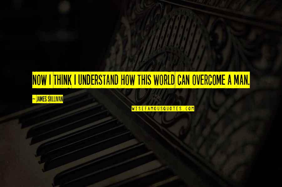 Astreaminlife Quotes By James Sullivan: Now I think I understand how this world