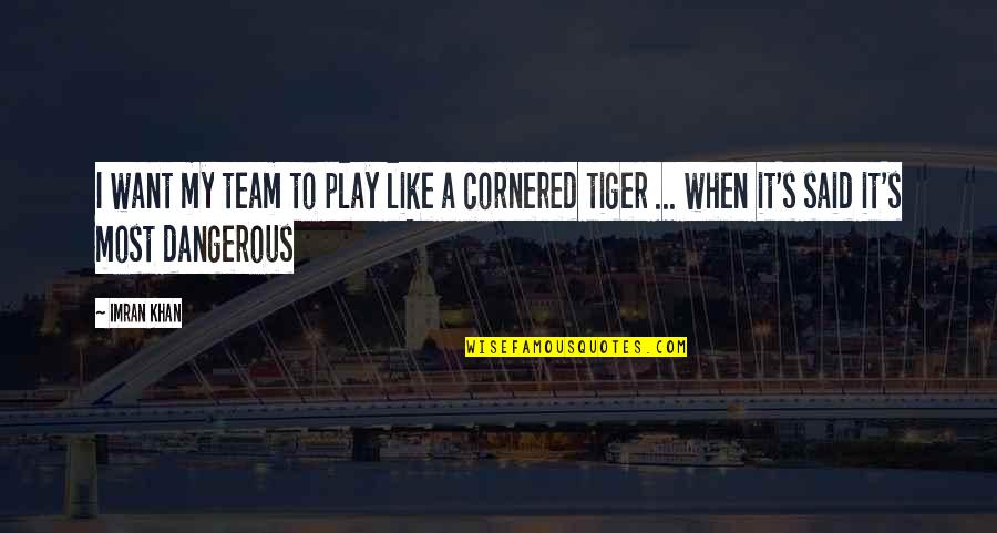 Astringente Quotes By Imran Khan: I want my team to play like a