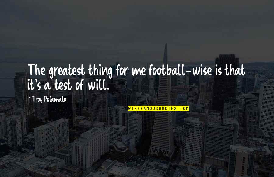 Astrologers Of Yore Quotes By Troy Polamalu: The greatest thing for me football-wise is that