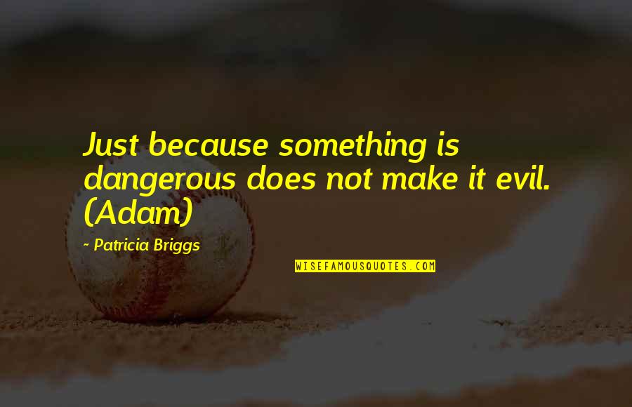 Asturian's Quotes By Patricia Briggs: Just because something is dangerous does not make