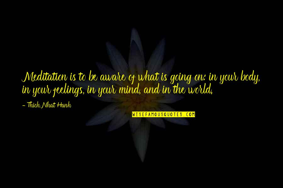 Asuka Neon Genesis Quotes By Thich Nhat Hanh: Meditation is to be aware of what is