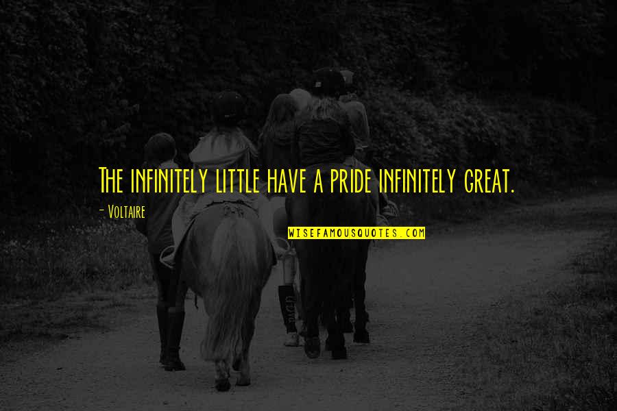 Asume Quotes By Voltaire: The infinitely little have a pride infinitely great.