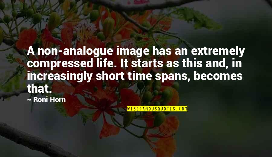 Asunci N De Mar A Quotes By Roni Horn: A non-analogue image has an extremely compressed life.