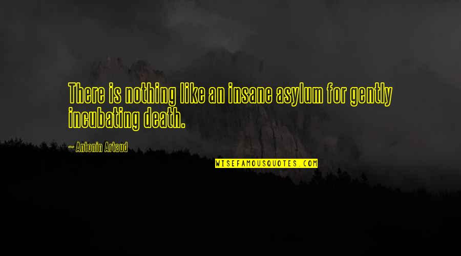 Asylums Quotes By Antonin Artaud: There is nothing like an insane asylum for