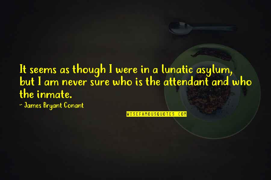 Asylums Quotes By James Bryant Conant: It seems as though I were in a