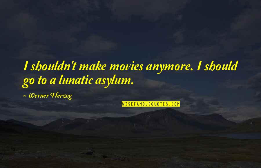 Asylums Quotes By Werner Herzog: I shouldn't make movies anymore. I should go