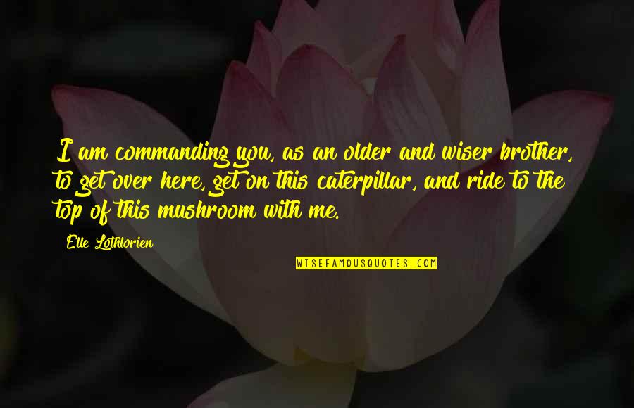 Asyndeton Literary Quotes By Elle Lothlorien: I am commanding you, as an older and