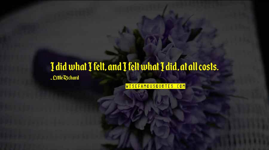 At All Costs Quotes By Little Richard: I did what I felt, and I felt