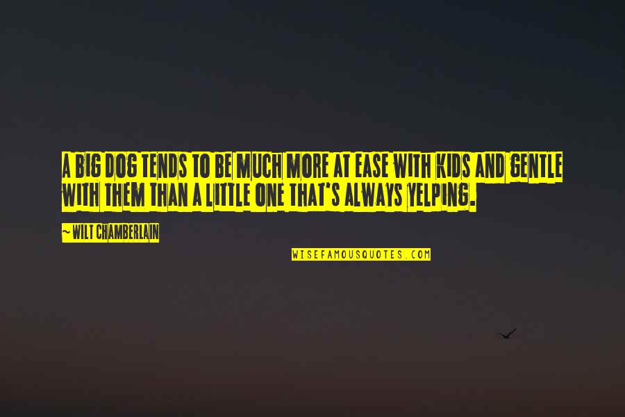 At Ease Quotes By Wilt Chamberlain: A big dog tends to be much more At Ease Quotes By Wilt Chamberlain: A big dog tends to be much more