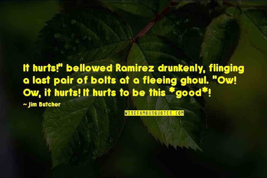 At Last Quotes By Jim Butcher: It hurts!" bellowed Ramirez drunkenly, flinging a last